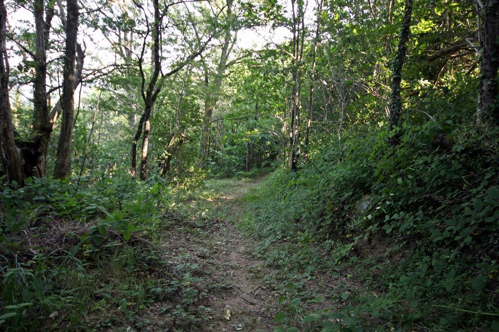 Camping Domaine Vallee Du Tarn Sn Saint-Cirgue Eksteriør bilde
